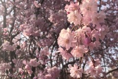 04F30A57-C17F-4BC9-A144-E38B29B31622