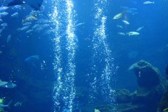 05705F0A-F0F5-4D51-9002-79AA605BB081