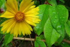 068610CB-A44F-40F2-8F99-8A8BE1CDB512