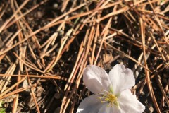 098B3312-0632-4B71-9EEA-0854197A5571