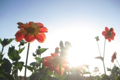 09D79158-5672-4359-8BCB-25270137E603