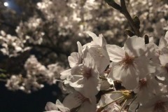 0ECB771E-108D-49EE-8616-F6DB95938CFA