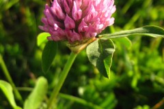 11BED312-20E3-4699-814E-B5F0FDAA0AD3