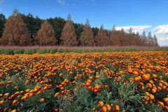 138A2514-5937-4501-9C80-4C9BB1E3B484