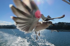 17F8010F-1490-45DB-8C45-FE574E85400E