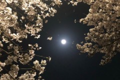 23DC6932-5A10-437D-87A8-4A5E98FE6007