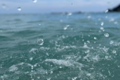 2663ED86-3612-4C3E-862C-73E26D430EBC