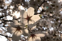 2778DB0D-196D-4A58-AC6A-BDEF147BD31C