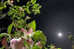 2B1B68A2-2FD1-4C3E-A61F-CE7257D6A83D