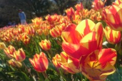 2C811B31-A269-49A0-8649-BA5396DE92C6