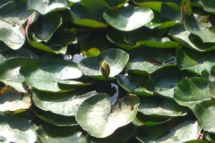 302F7437-6766-42BA-A1AA-3A5AA310F74F