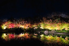 31CB7BCB-7208-43E9-B2F2-5BEAE2F63A3C