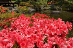 32D3323E-745C-41F8-B4D0-F7E07521FB57