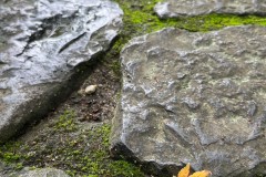 393B1A37-3CF8-4EA3-BE6E-393ECCE84B6E