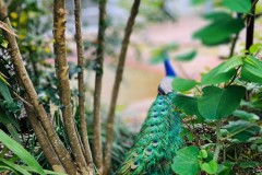 3A3B7ACC-C481-4C30-B98F-D715983E191A