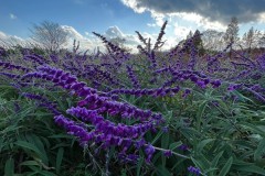 3C83E315-4E70-462B-9E14-D8BE1B444AF0