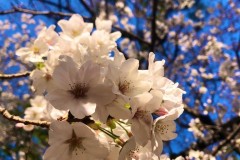 3DFB45F5-3041-4970-81E2-C78F1F53B823