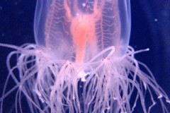 47351B43-1C3B-40DE-9BE1-E580017838E4