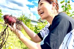 奈良市焼き芋紅はるか