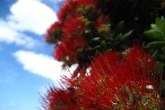 506A7B40-07C8-4230-A5F1-7DA4BE0BB65F