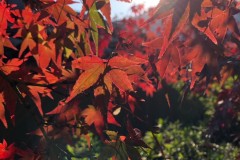 5DF35044-7D74-473D-A272-B8497BBFE2CB