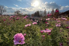 604EE9E1-18DB-4070-B707-72C8754DB5B3