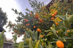 6060072D-2381-434E-B422-386D4A96868C