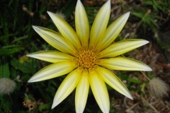 65AA30A4-77C2-4726-9F1D-AEB43F4E2CDE