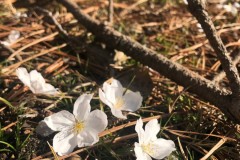 6A359327-28E0-4685-A7C5-77D9D1F66355