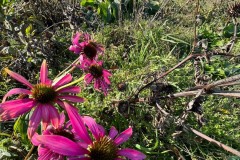 780523ED-DC0F-40B0-BA8A-D14B019D6A09