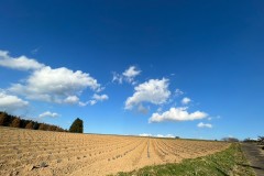 78B9CD96-EFDA-4464-AFB1-47173F57514A