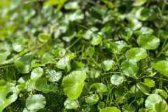 7D590F44-E3A4-40C2-B214-2560E03D6613