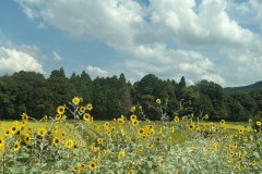 7F2789EF-FE1D-4F78-A9E0-48F5241F91CB