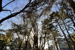 9433196C-4EA5-43BE-BE19-5252BFC7897E-scaled