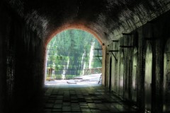 A18BB431-03F7-4508-AC3D-70FD3F162756