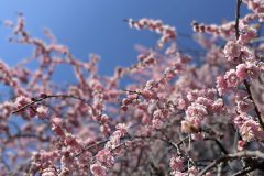 A513361E-2201-48DC-B0FA-77175598A6D6-scaled