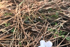 A965077D-7E9F-4DD4-ACCA-F13B6B51F8C9