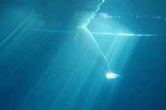 AAB99ECA-0636-4155-974A-12A1BD857822