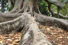 B1755EE8-A925-4CAD-B175-41FEE27418A2