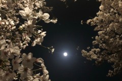 BD7E956A-0E91-43B1-BA2F-F0A7221526EA