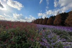 C23DEE79-424C-4535-B72D-F82253681090