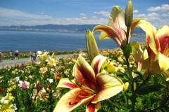 C3B886F3-C474-4A1C-A6B4-96222ADEEEB0