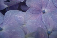 E050B76B-0665-44DA-9A67-17A4A788A0BC