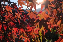 F0C3D525-77E2-45C4-8333-C4CEFFE37AC1