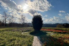 F7E44D1E-9A3D-4F84-A304-6303F9FF029B