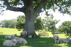 FD3F46E7-CD1B-4125-BA25-C2722E33B33B