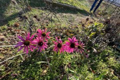 FFF3DE36-740F-4DBB-9EDF-05C39EE0D8DA