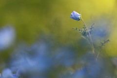 4876255502460374289.0f4519b10cefa433178175ac3337da01.23042710