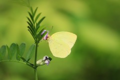 4876255502460374289.1e54d688edfde278d8871fd80ea8cbb4.23042710