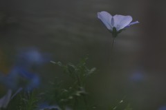 4876255502460374289.580a5cb98ecfb5fbd1ef47c7a0470283.23042710